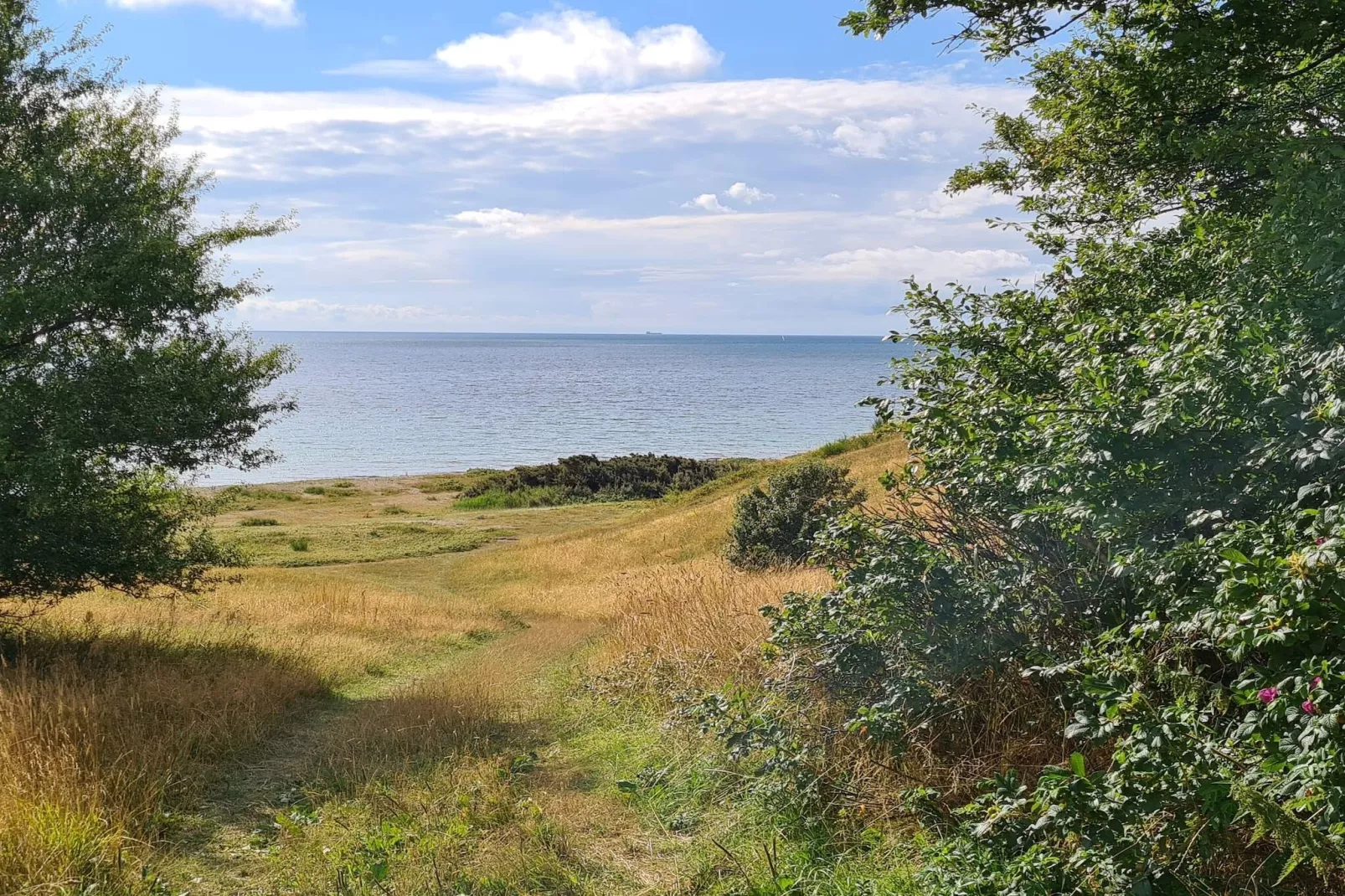 8 person holiday home in Knebel