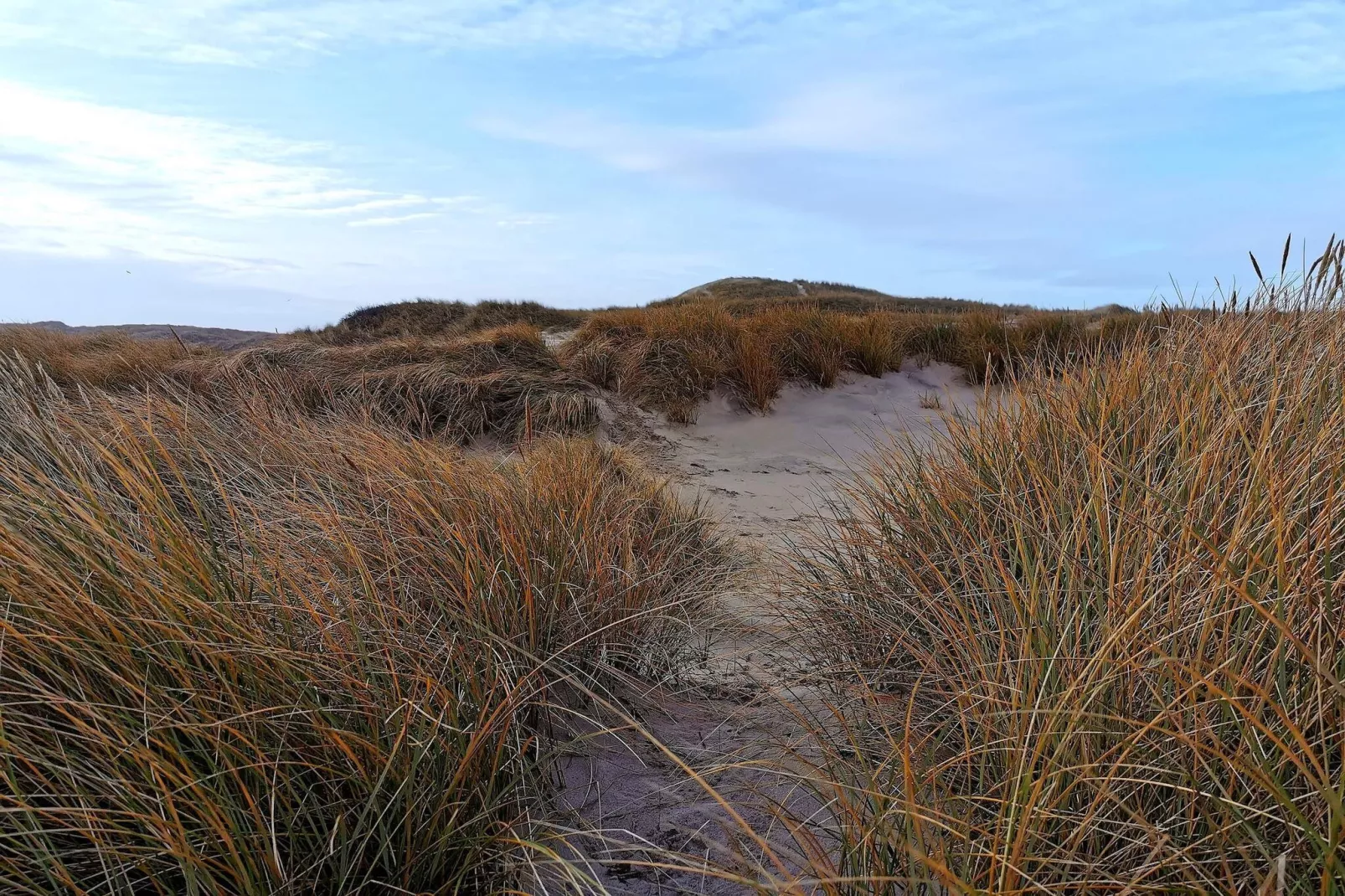 8 person holiday home in Ringkøbing