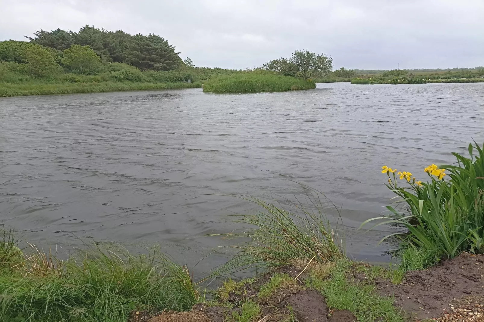 Maison de vacances pour 4 a Bøvlingbjerg-Vue sur l'eau