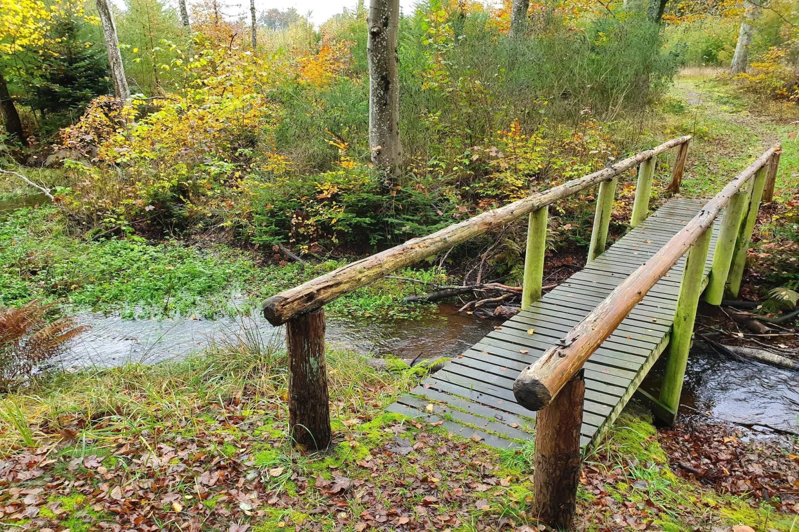 7 person holiday home in Frederikshavn