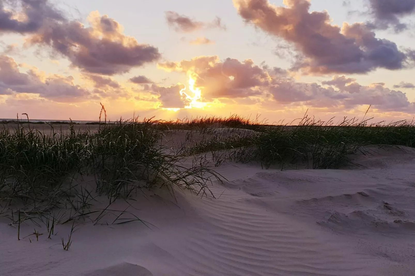 Maison de vacances pour 4 a Fanø-Non tagué