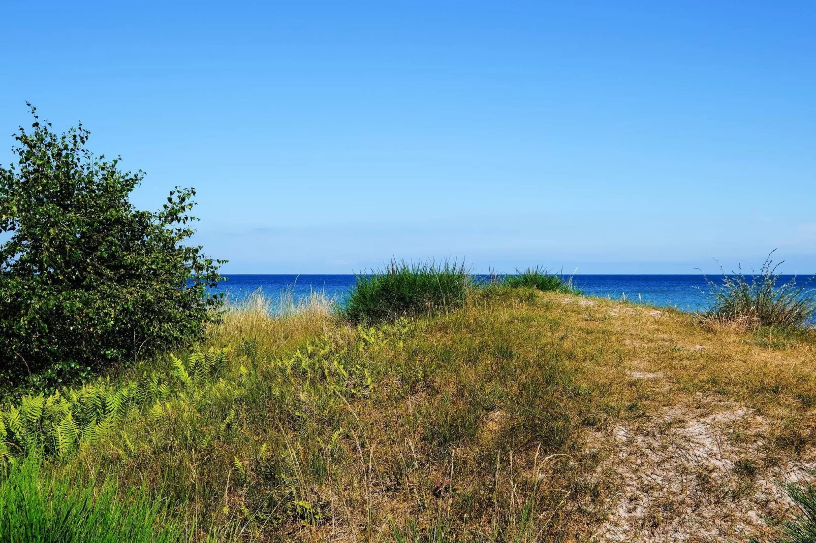 8 person holiday home in Væggerløse