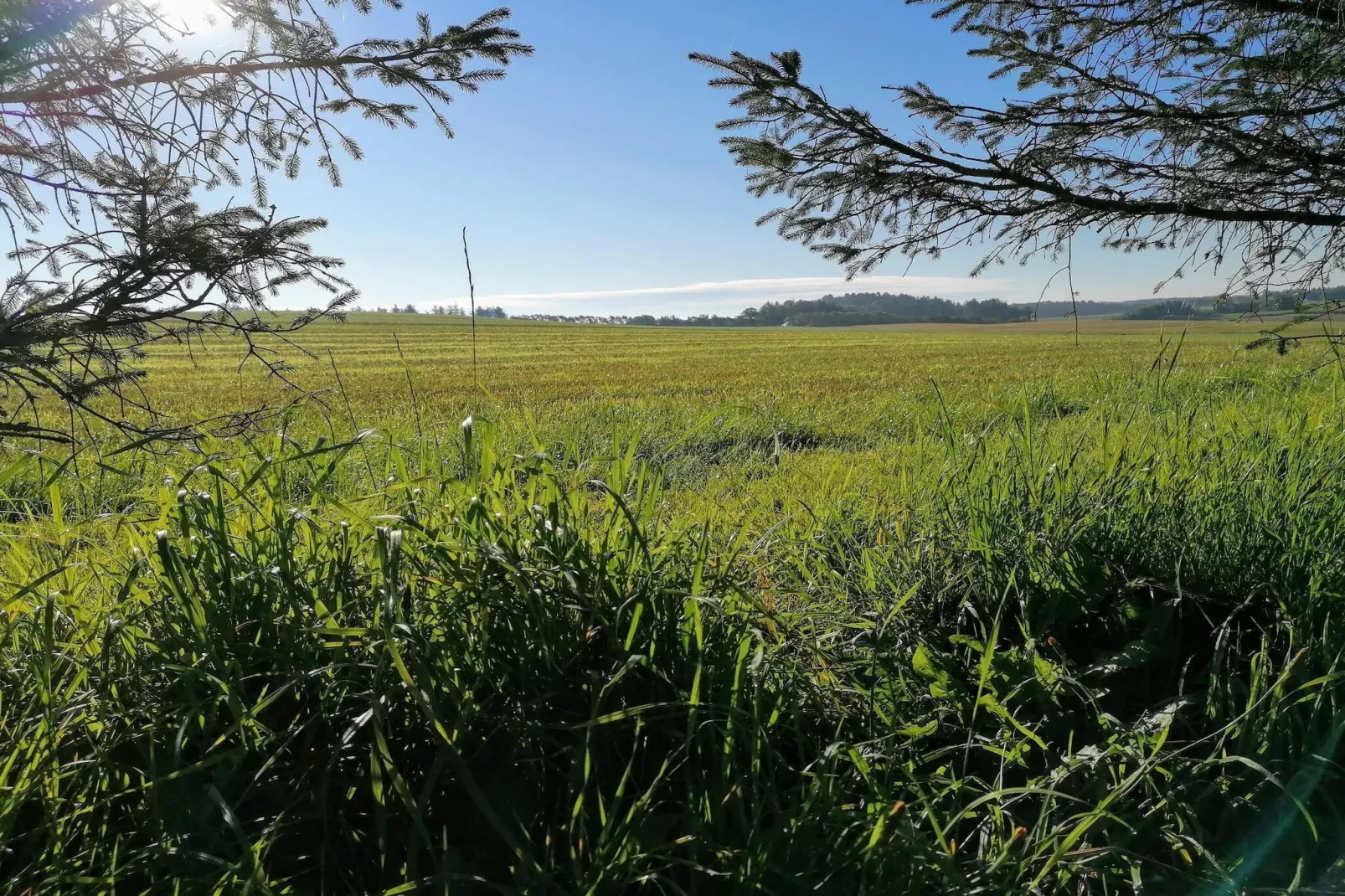 Luxurioses Refugium in Gronhoj Strand-By Traum-Nicht zugeordnet