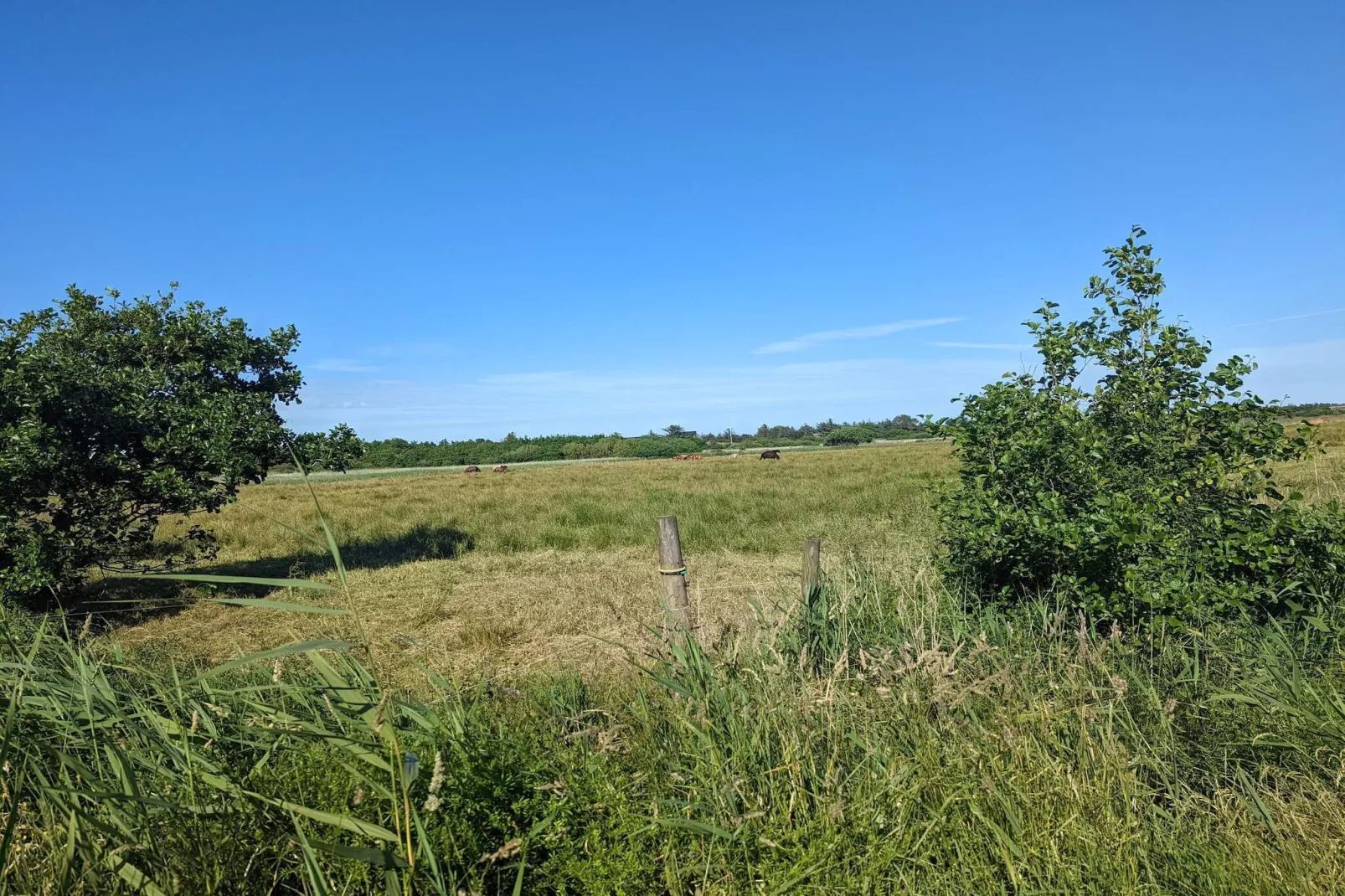 Maison de vacances pour 6 a Blåvand