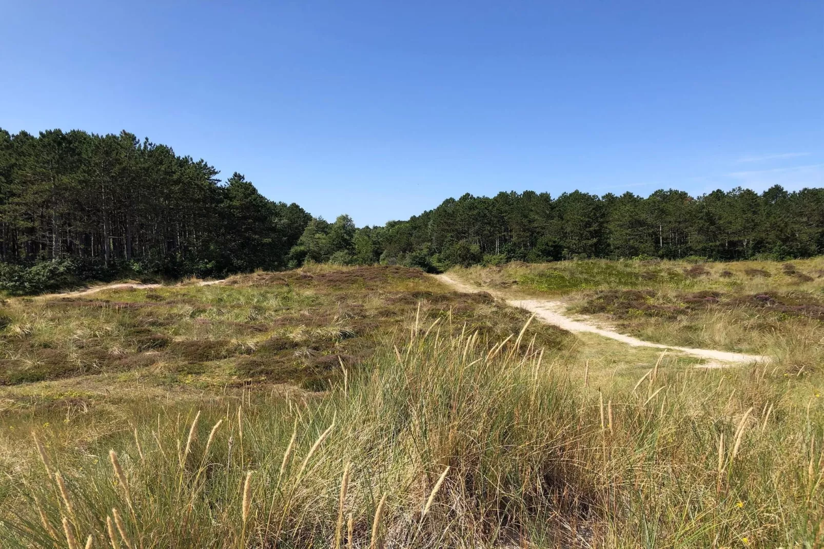 7 person holiday home in Grenaa-Untagged