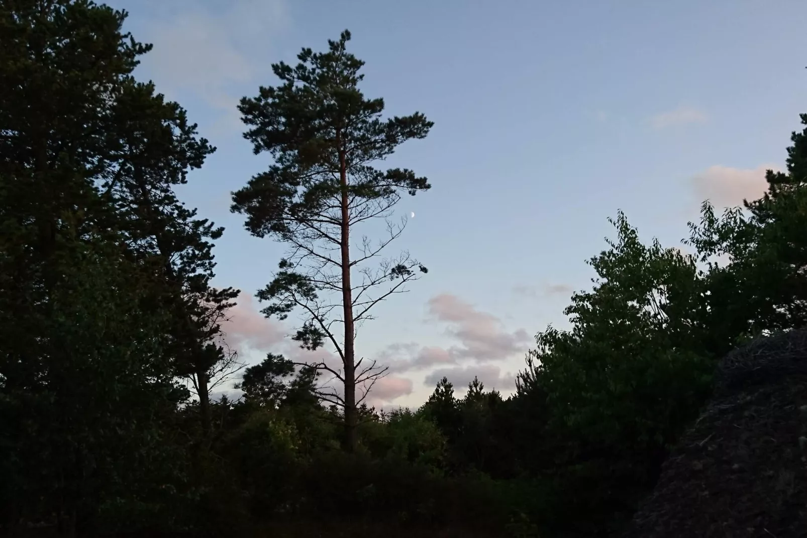 Bright Cottage with Covered Terrace-By Traum-Untagged