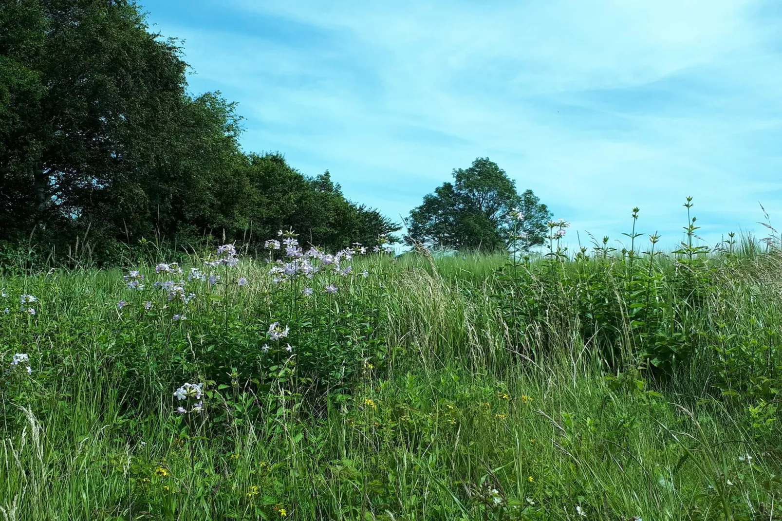 5 Personen Ferienhaus in Holeby-Nicht zugeordnet