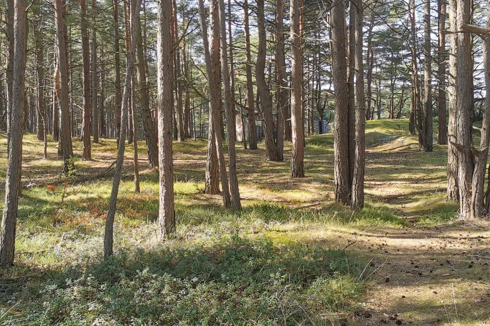 Seaside Charm in Flaton Retreat-By Traum-Untagged