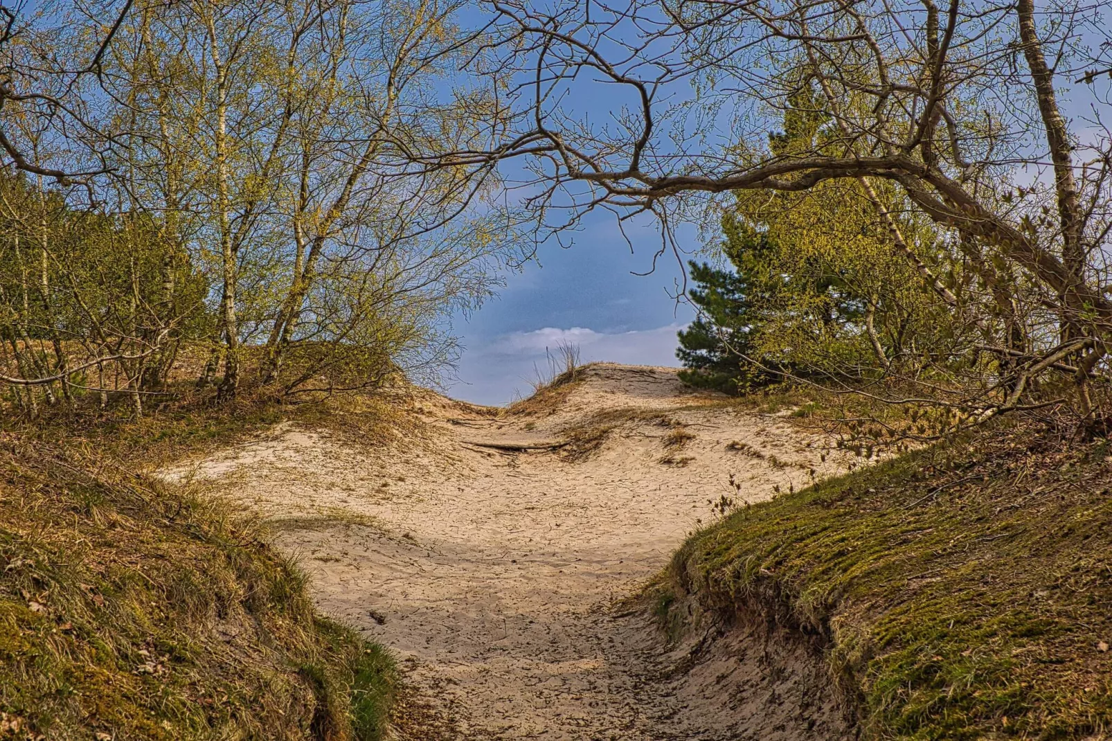 Maison de vacances pour 4 a Børkop-Non tagué