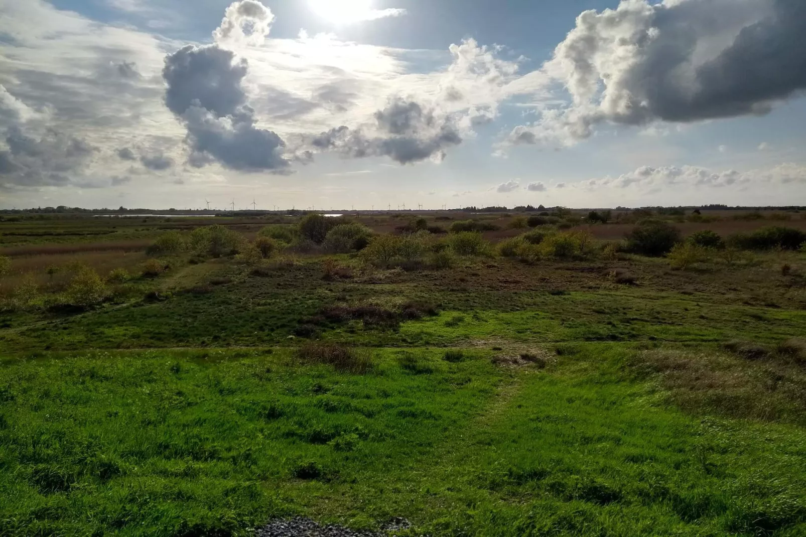 12 person holiday home in Højer-Untagged