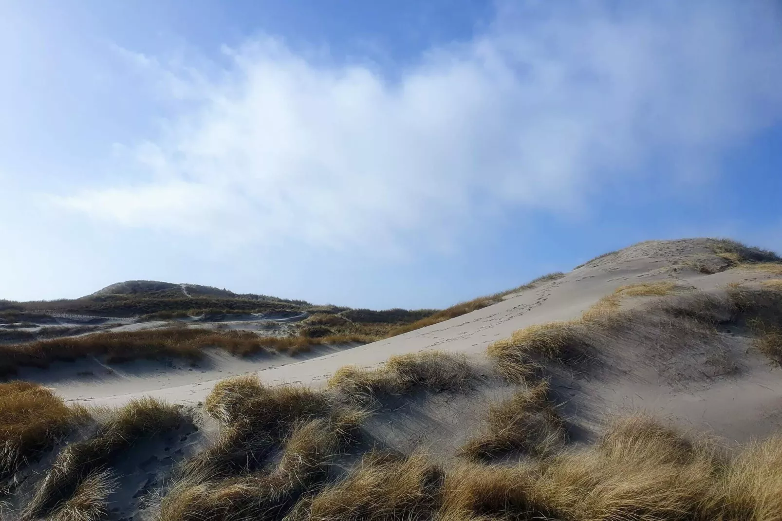 10 person holiday home in Ringkøbing