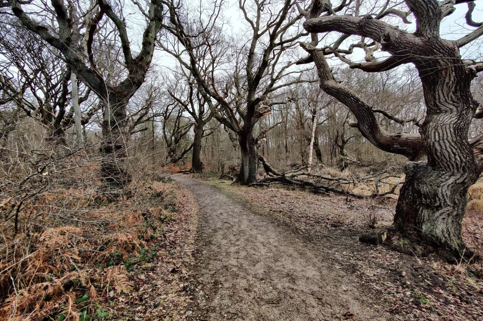 Seaside Haven in Stoense-By Traum-Untagged