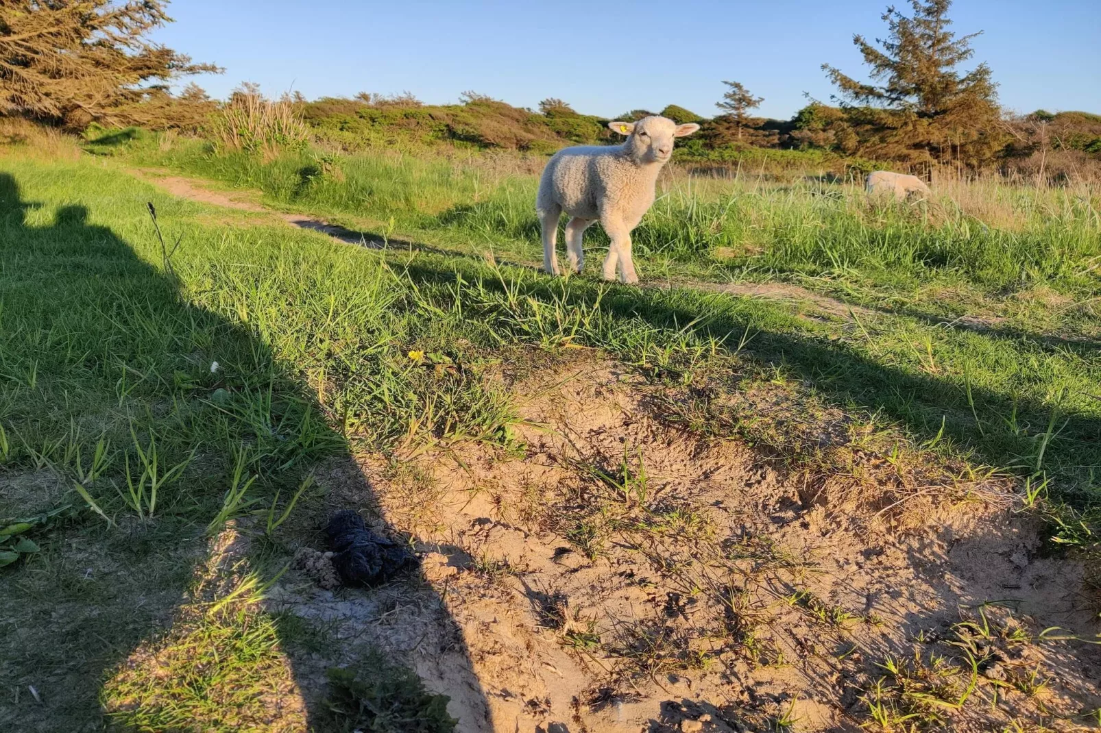 Maison de vacances pour 6 a Hjørring