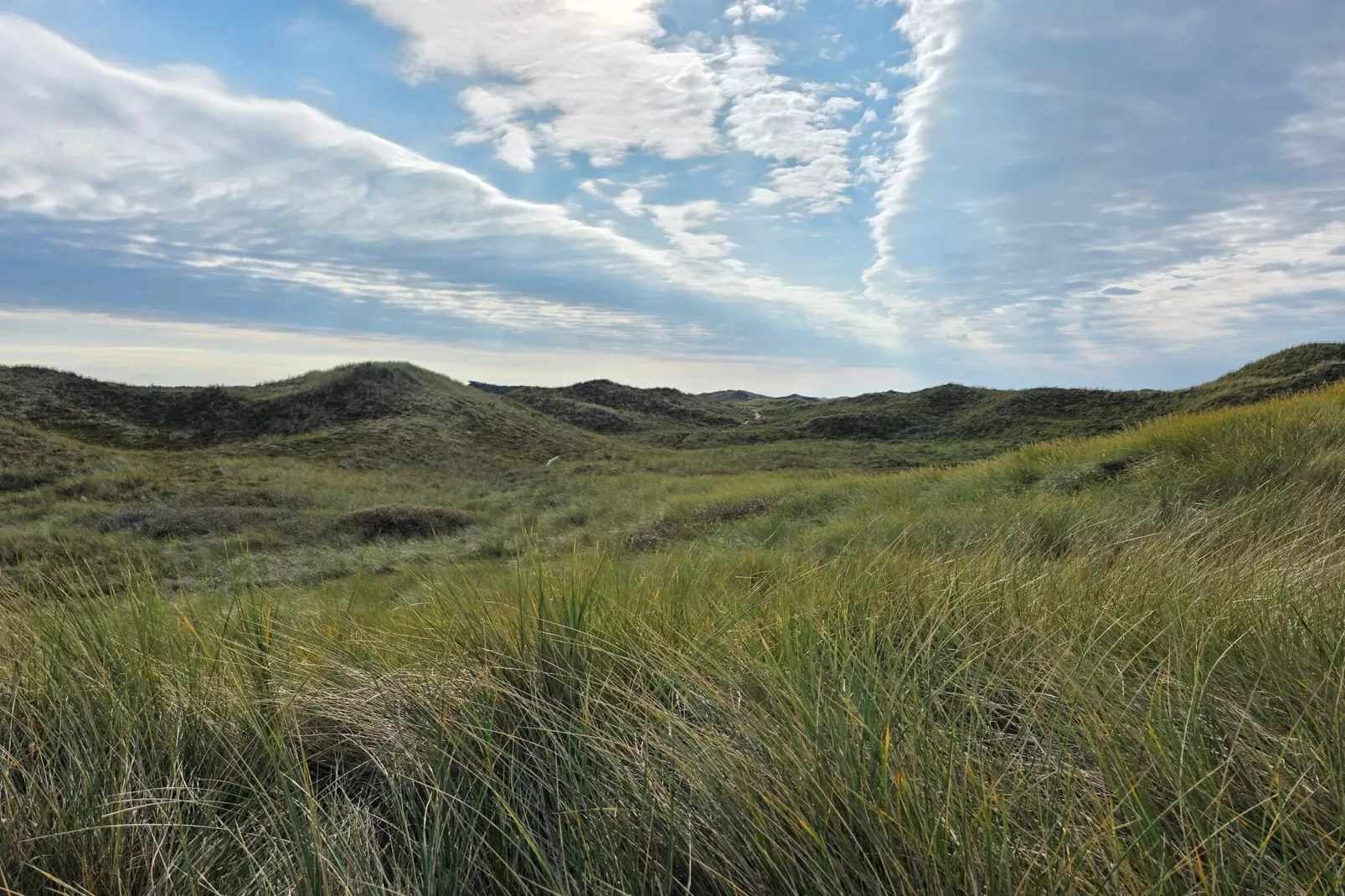 14 Personen Ferienhaus in Ulfborg