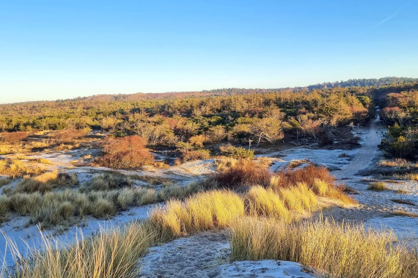Maison de vacances pour 6 a Tisvildeleje