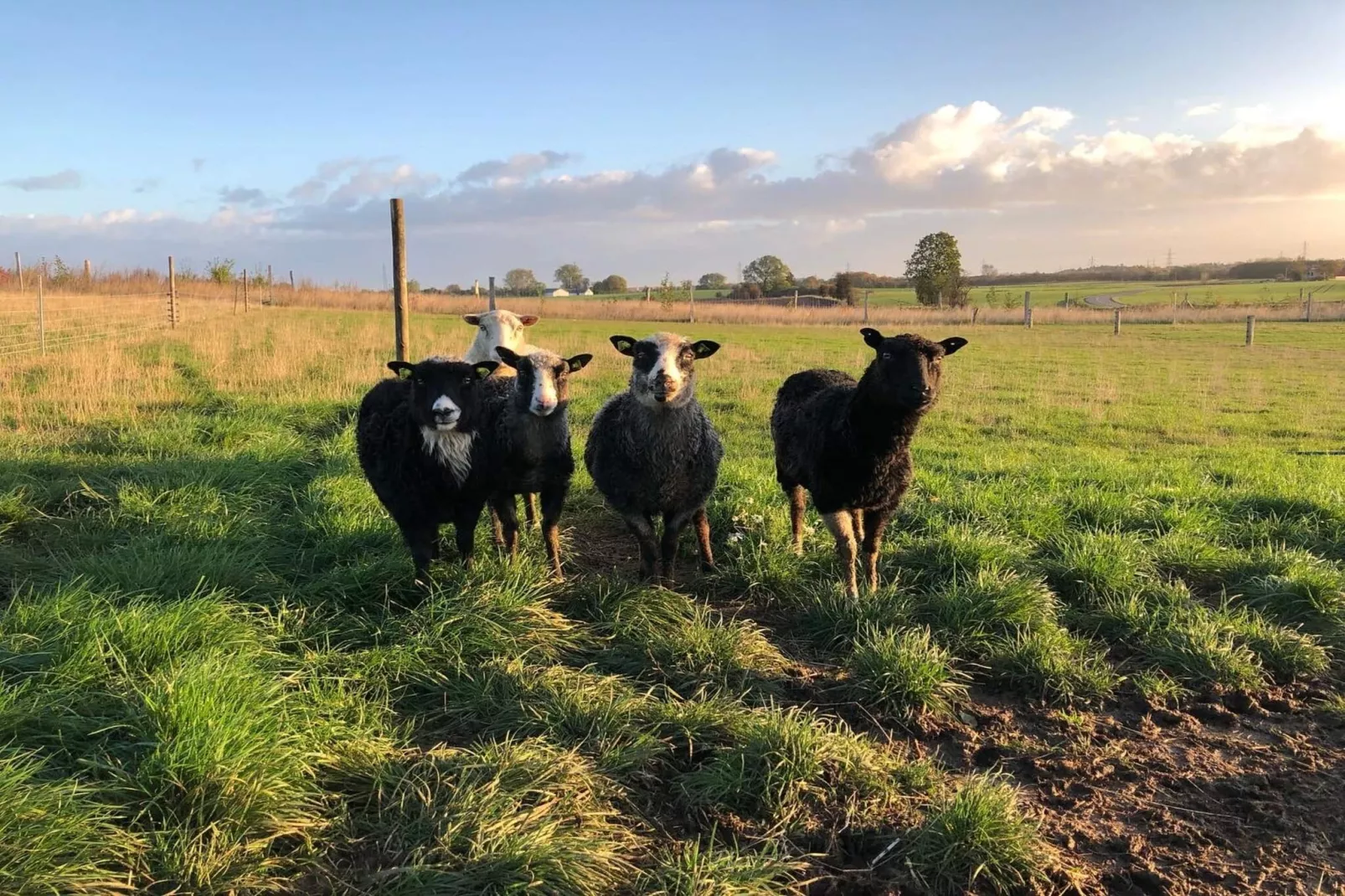 Maison de vacances pour 4 a Skibby-Non tagué