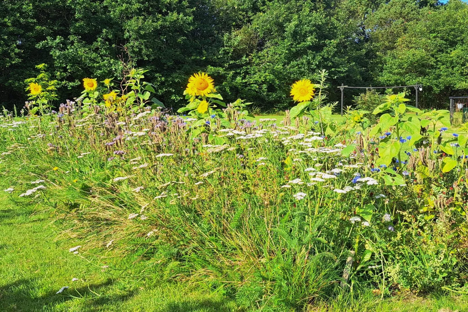 6 person holiday home in Tarm-Untagged