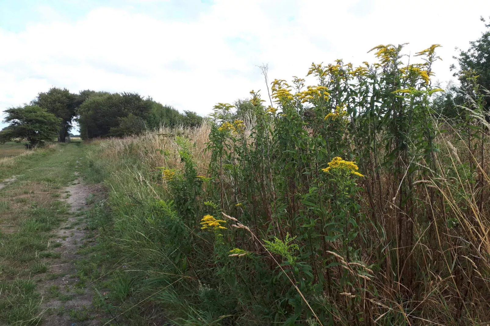 Maison de vacances pour 6 a Bredebro