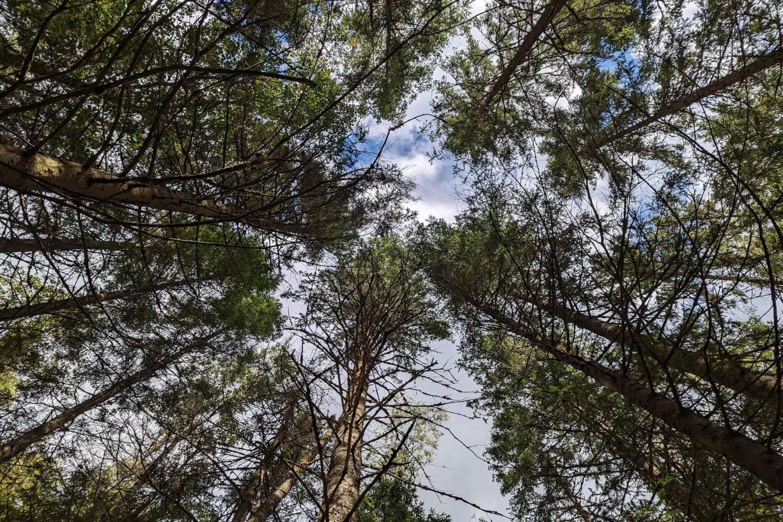 4 Personen Ferienhaus in Brålanda-Nicht zugeordnet