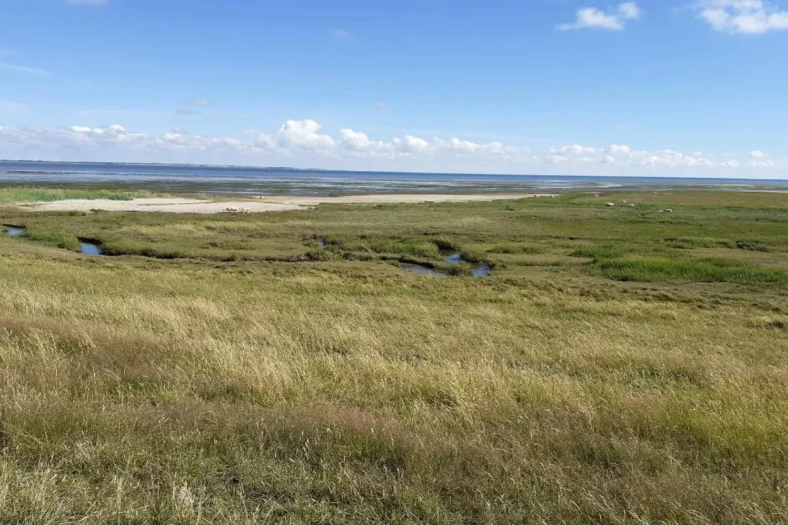 6 person holiday home in Rømø