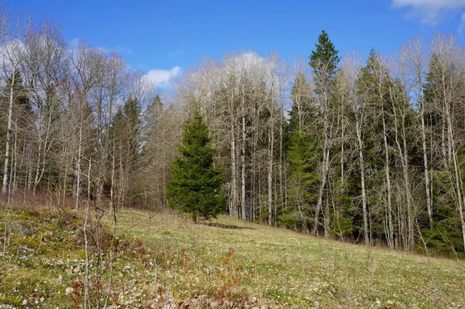 5 person holiday home in TENHULT/JÖNKÖPING-Untagged