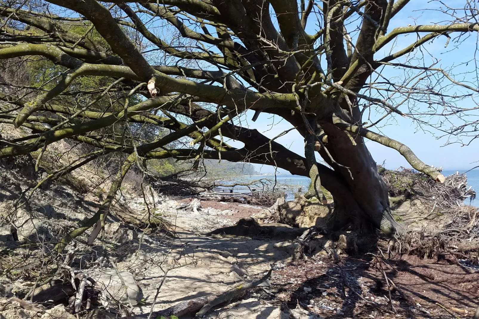 Maison de vacances pour 6 a Sydals-Non tagué