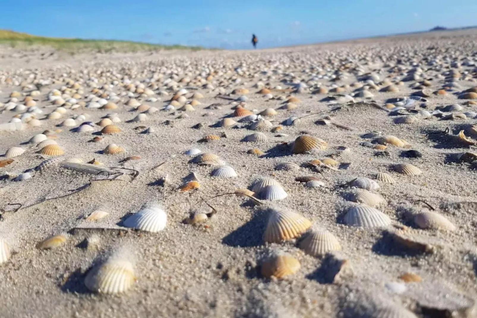 6 person holiday home in Rømø-Untagged
