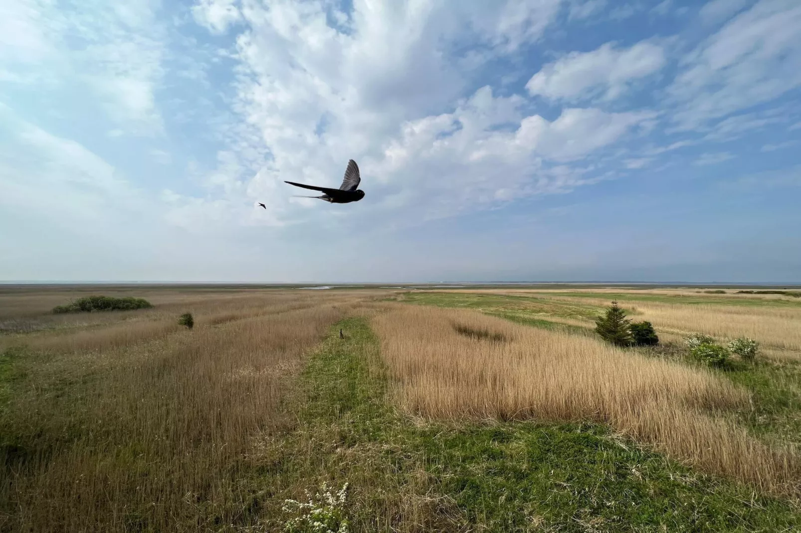 8 Personen Ferienhaus in Ulfborg