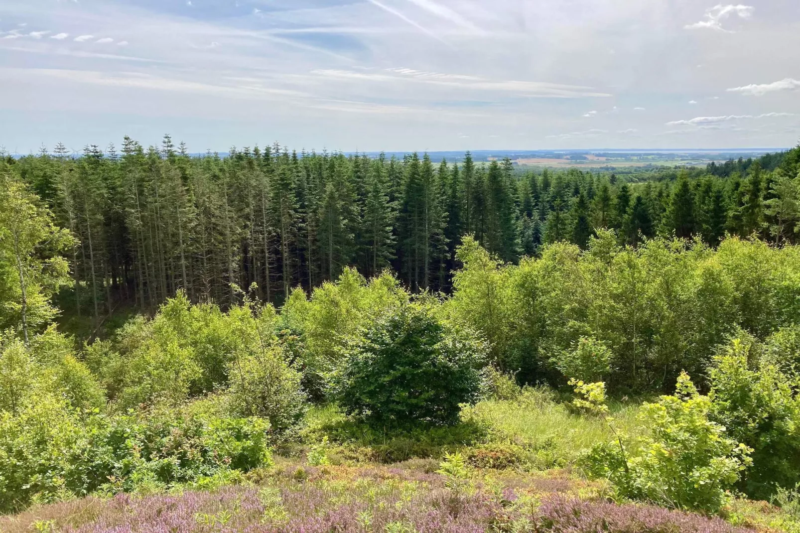 Refuge plage tranquille a Tranum-By Traum-Non tagué