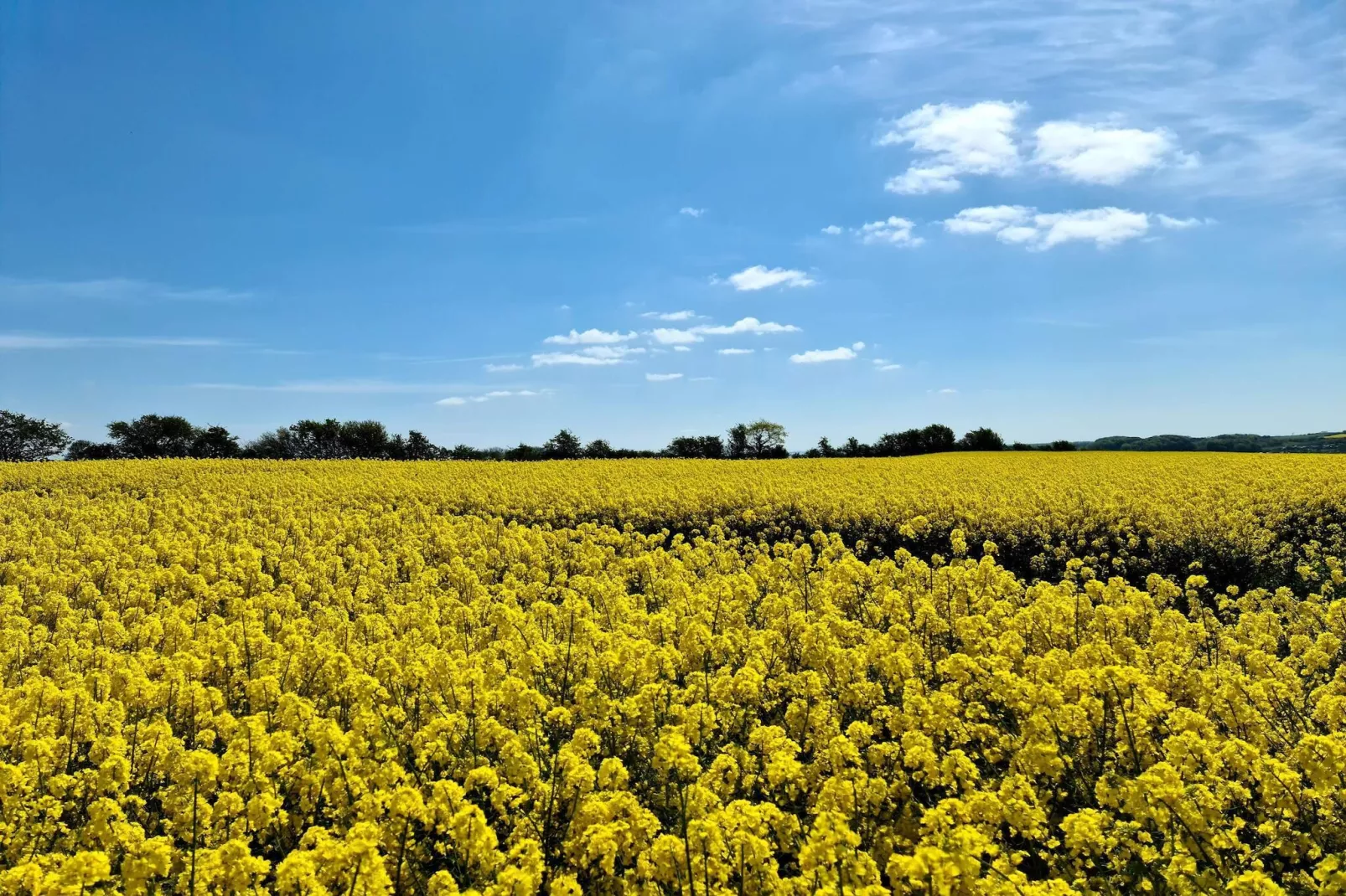 Refuge spacieux a Sonderborg-By Traum-Non tagué