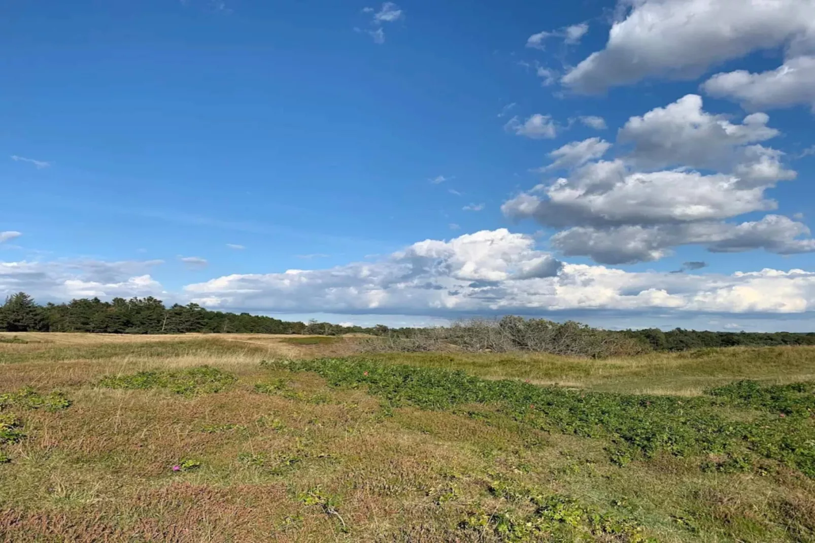 Maison de vacances pour 8 a Vejby-Non tagué