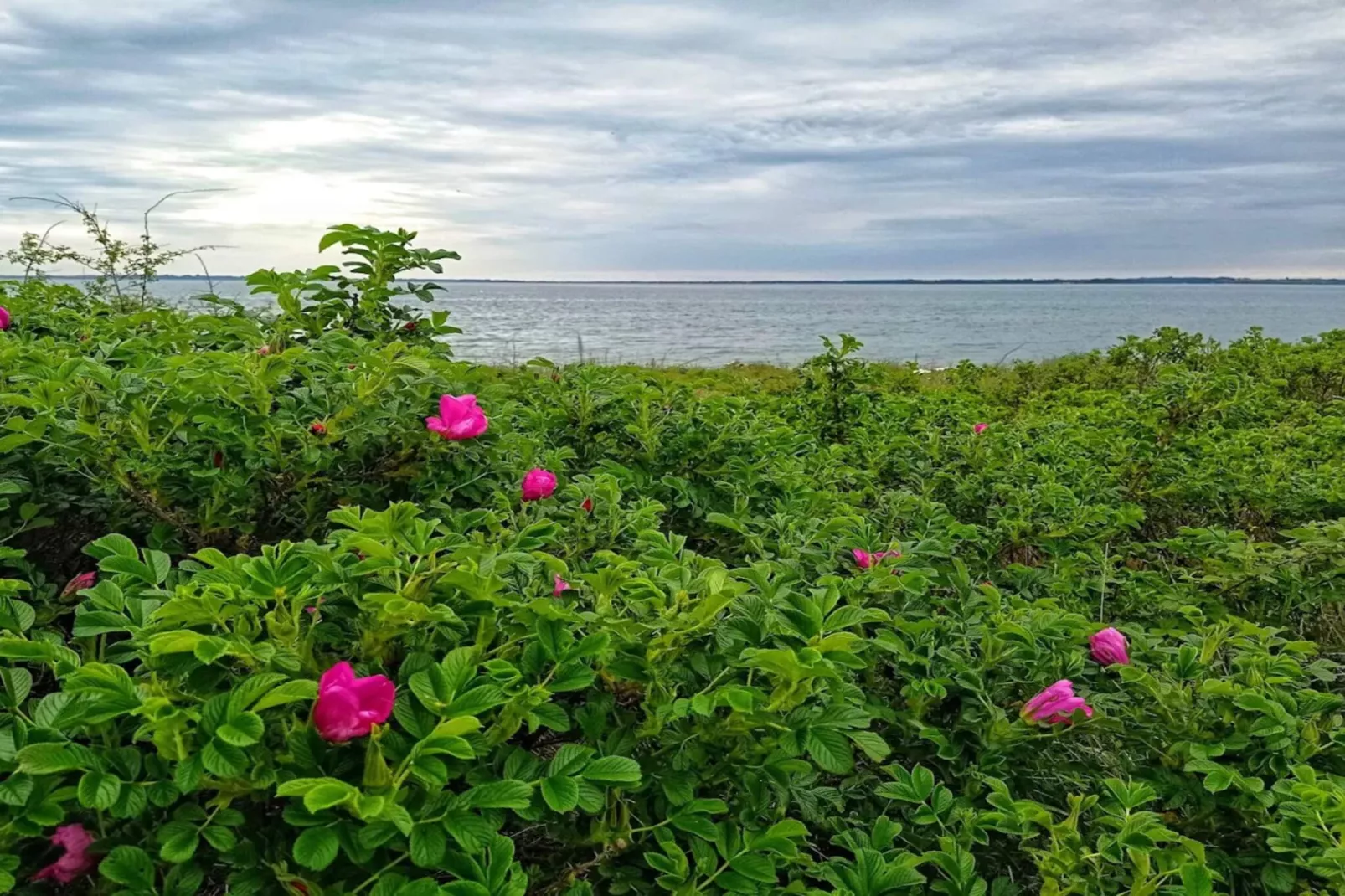 Luxury Retreat in Loddenhoj-By Traum