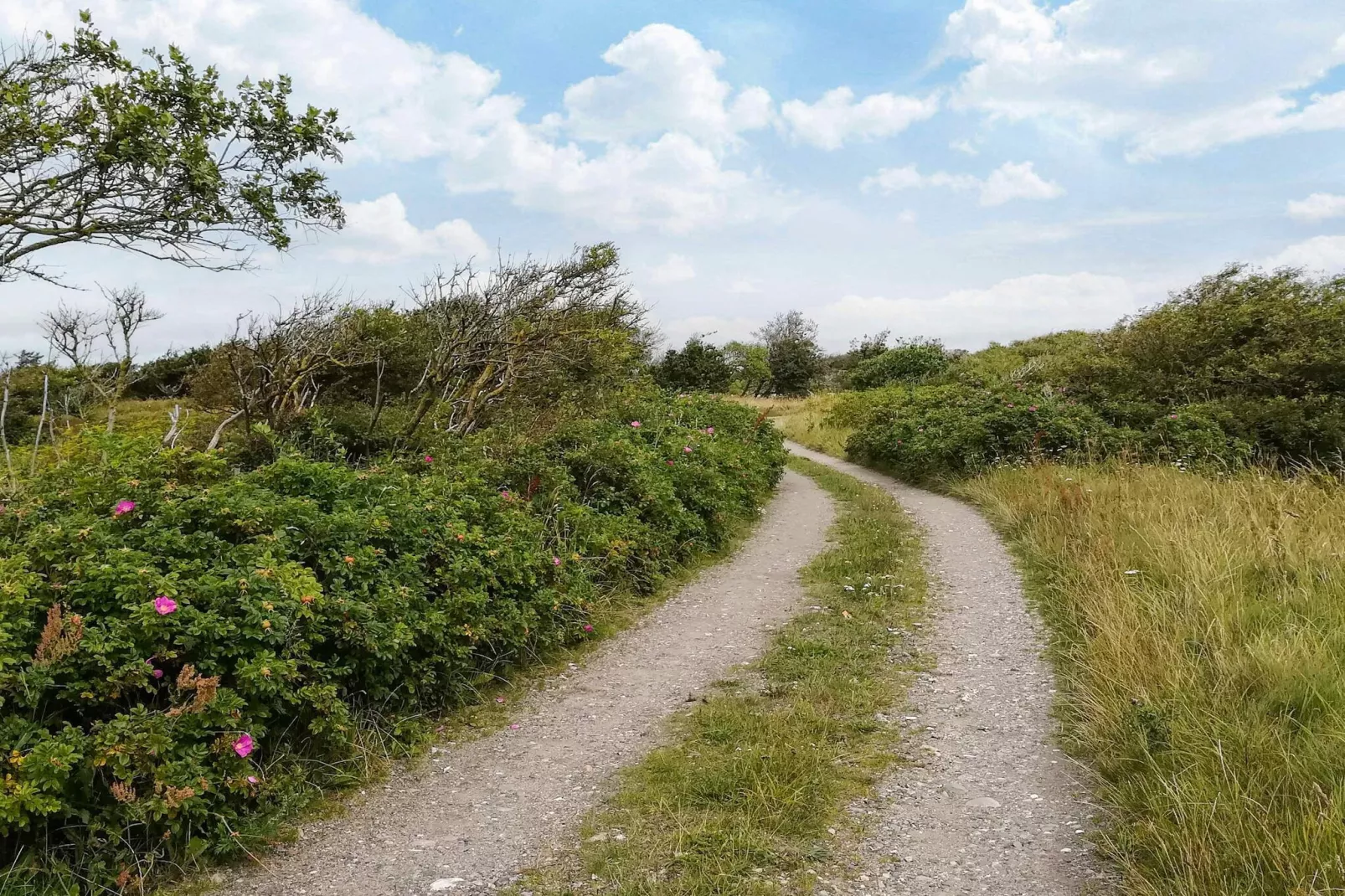 Secluded Forest Haven-By Traum-Outdoor