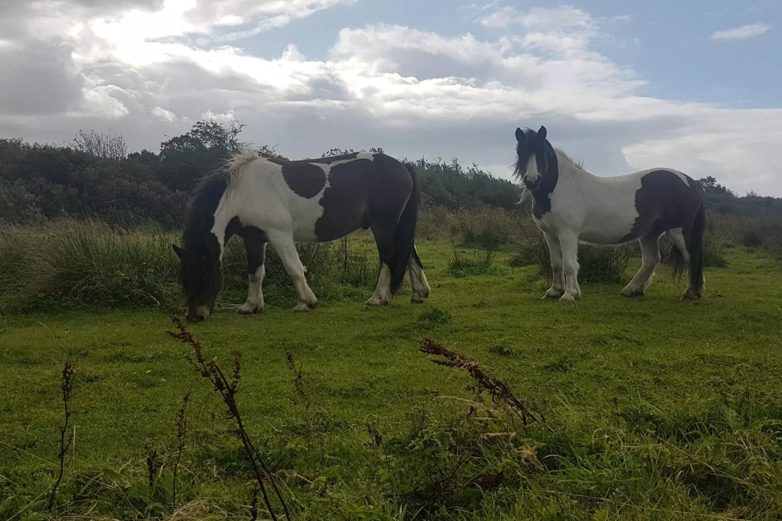 6 person holiday home in Fjerritslev