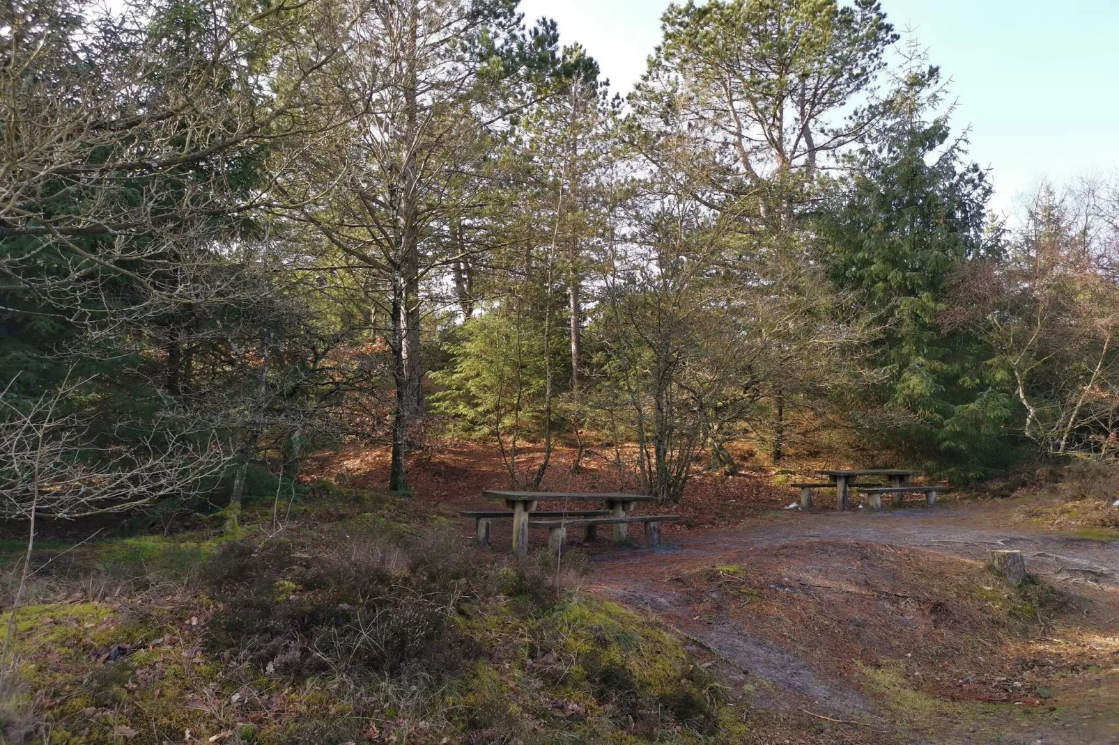 4 person holiday home in Oksbøl