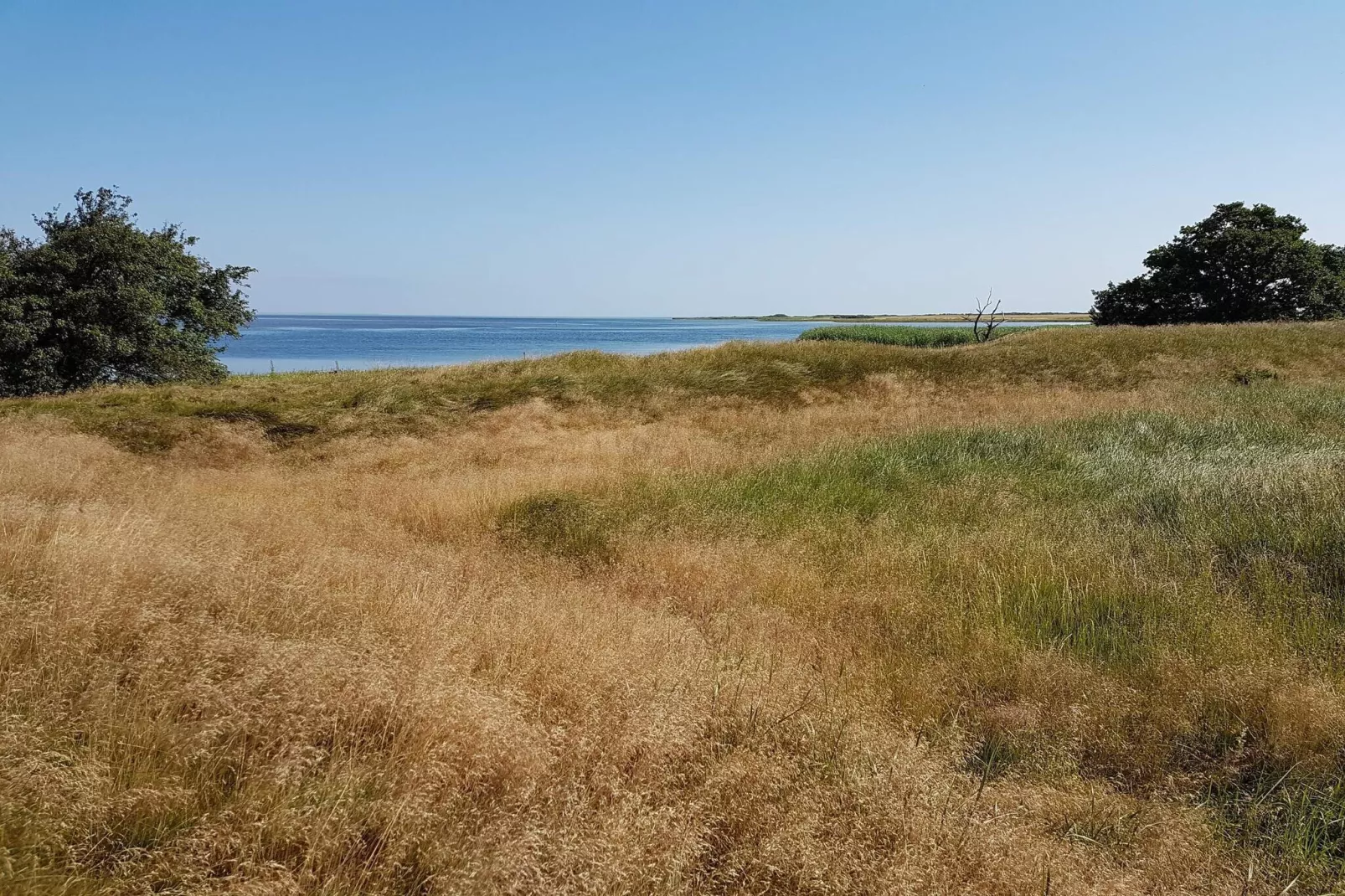 Maison de vacances pour 10 a Stege