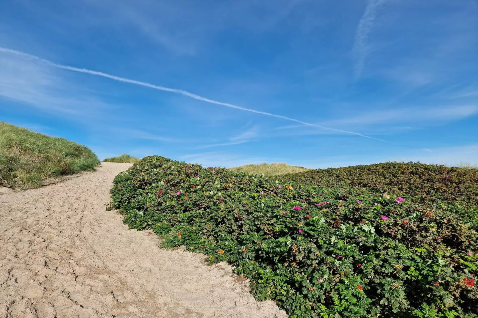 6 person holiday home in Hvide Sande