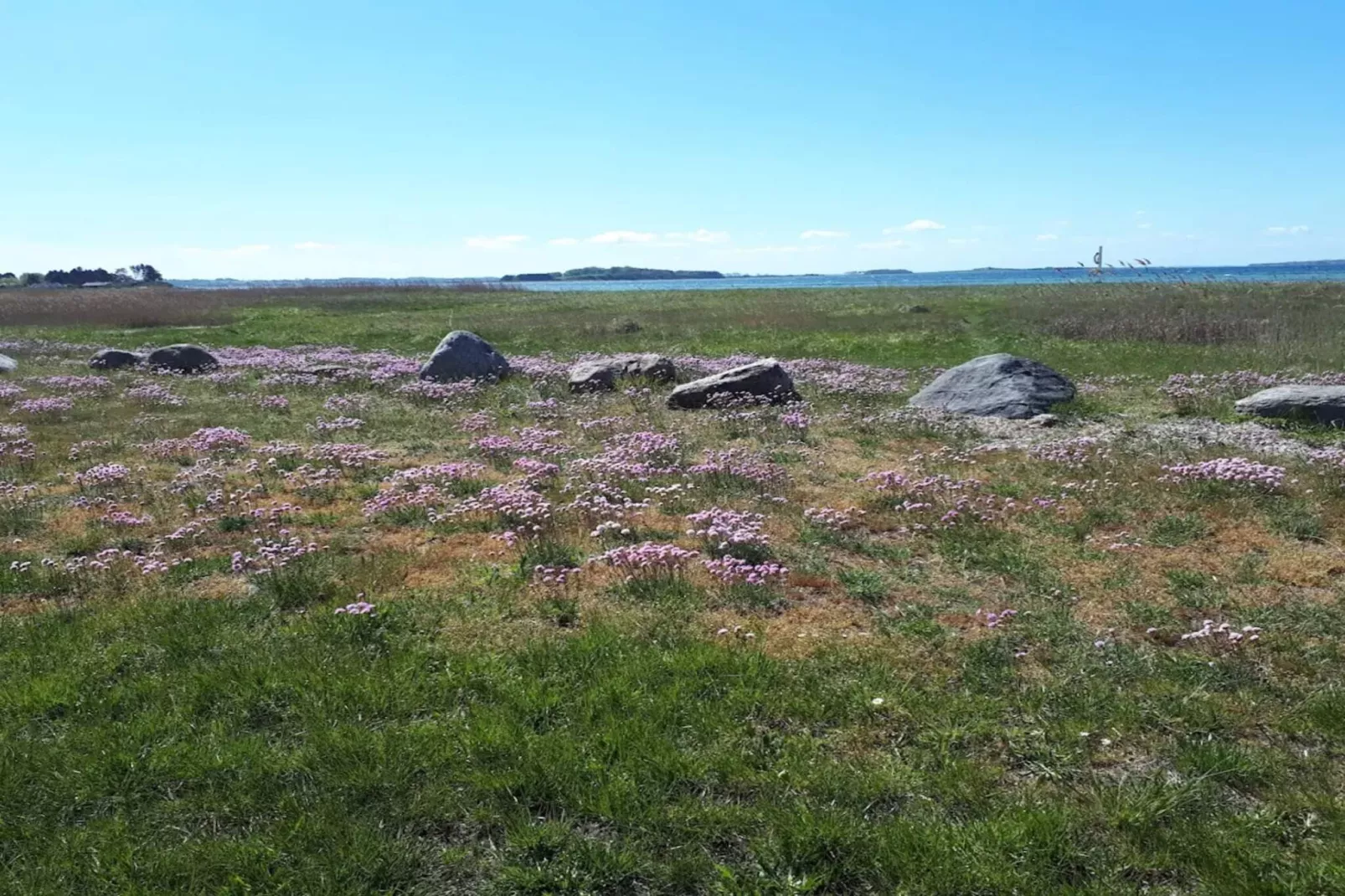 12 person holiday home in Millinge-Untagged