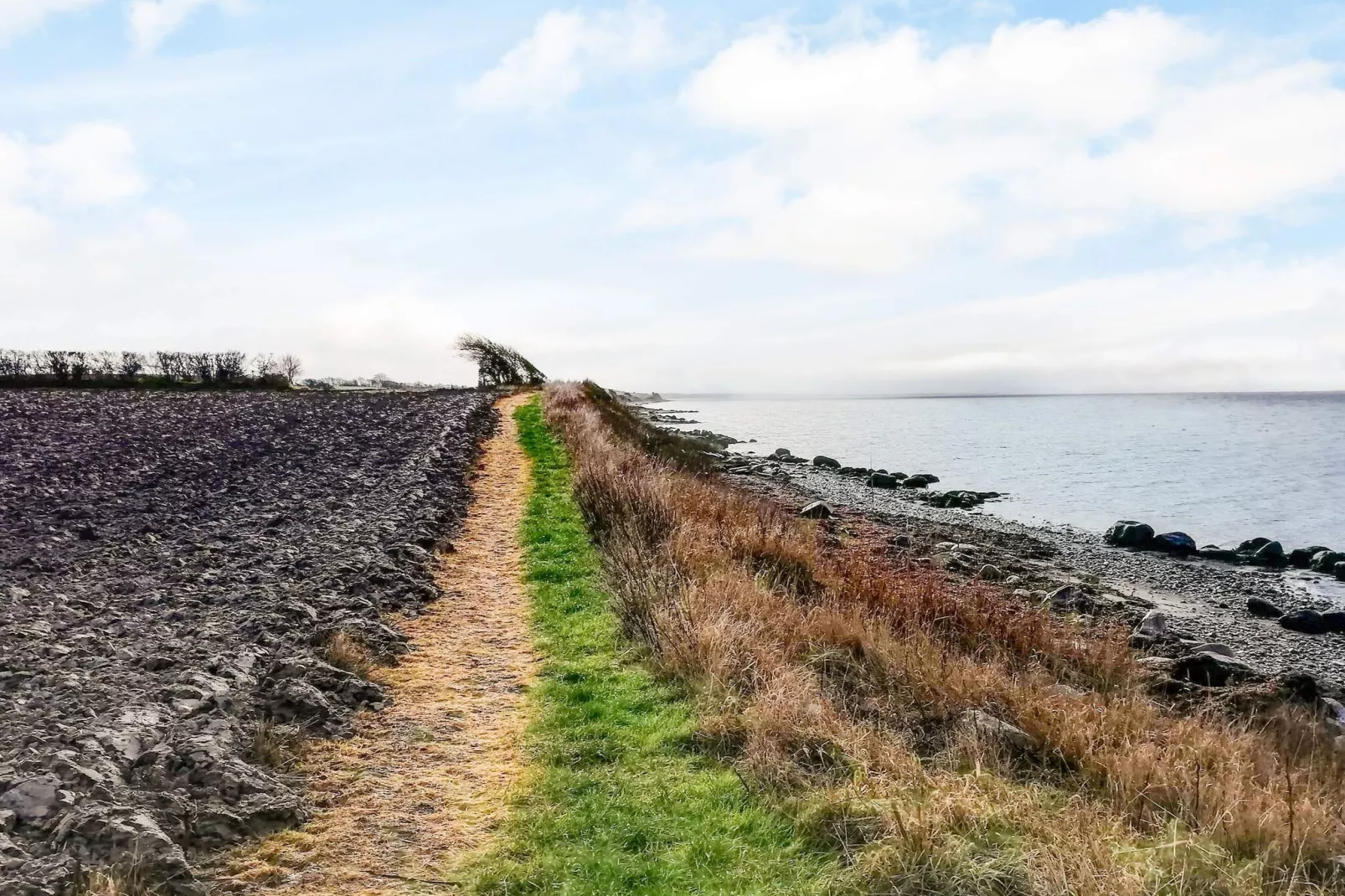 4 person holiday home in Tranekær-Outdoor
