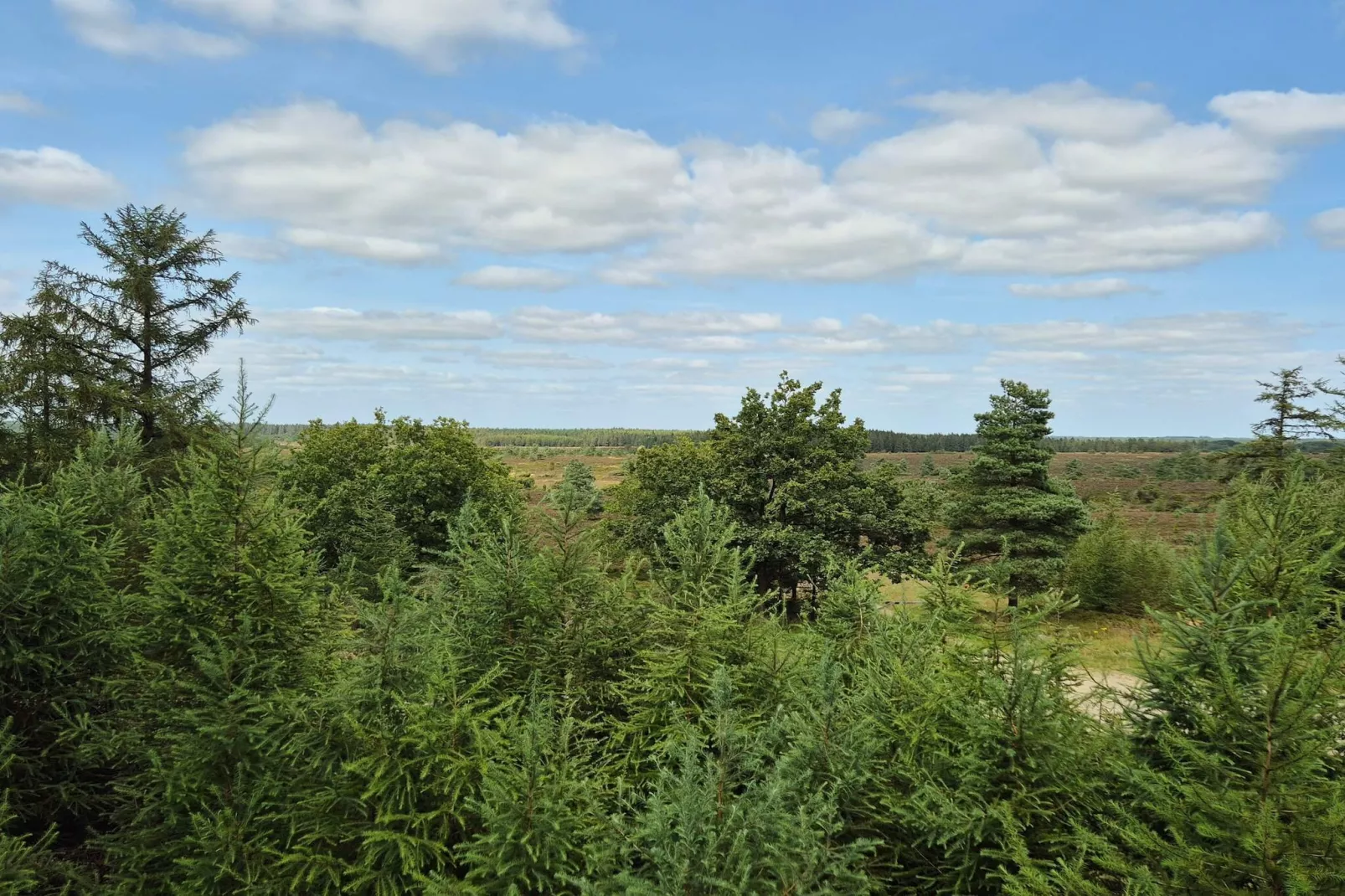 6 person holiday home in Hovborg