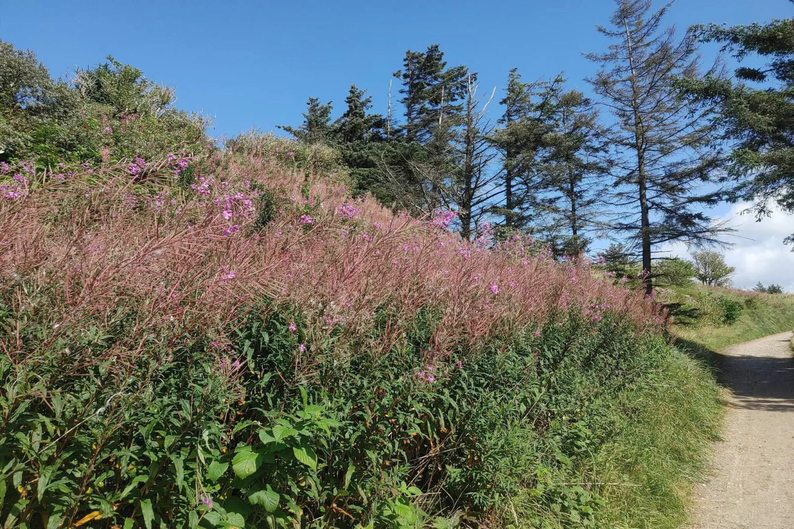 Maison de vacances pour 8 a Hjørring-Non tagué