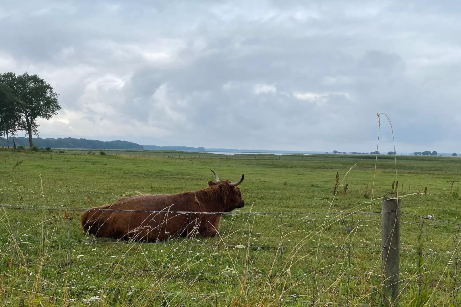 8 person holiday home in Præstø