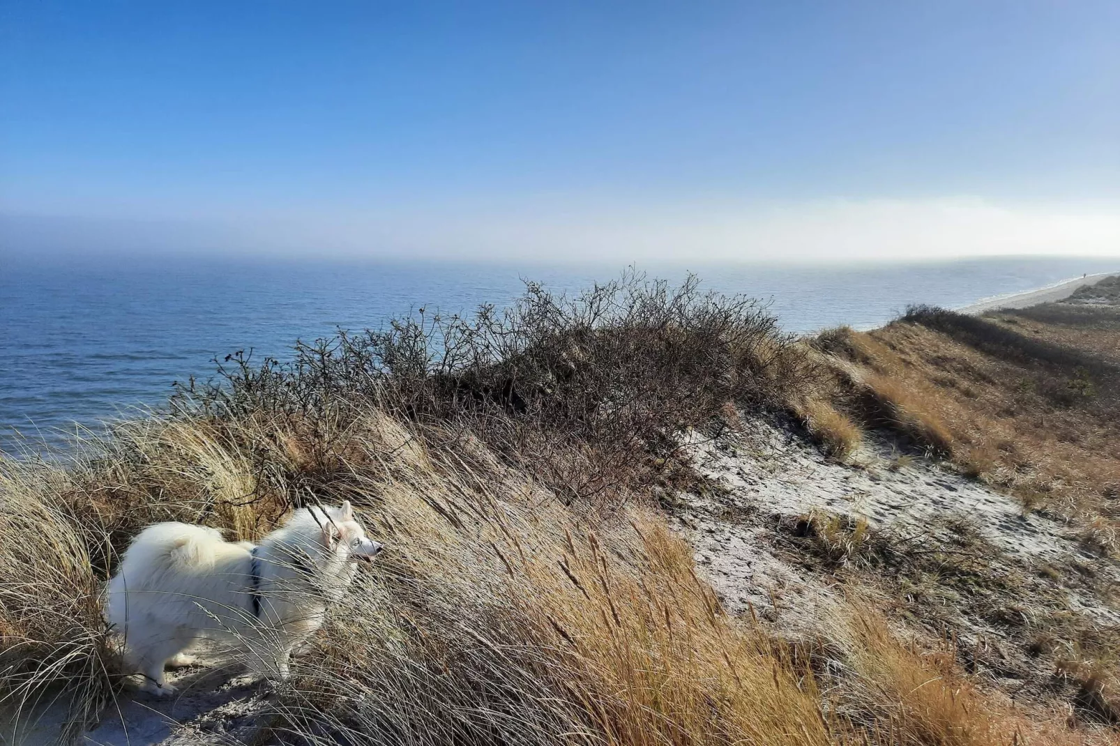 5 person holiday home in Sæby