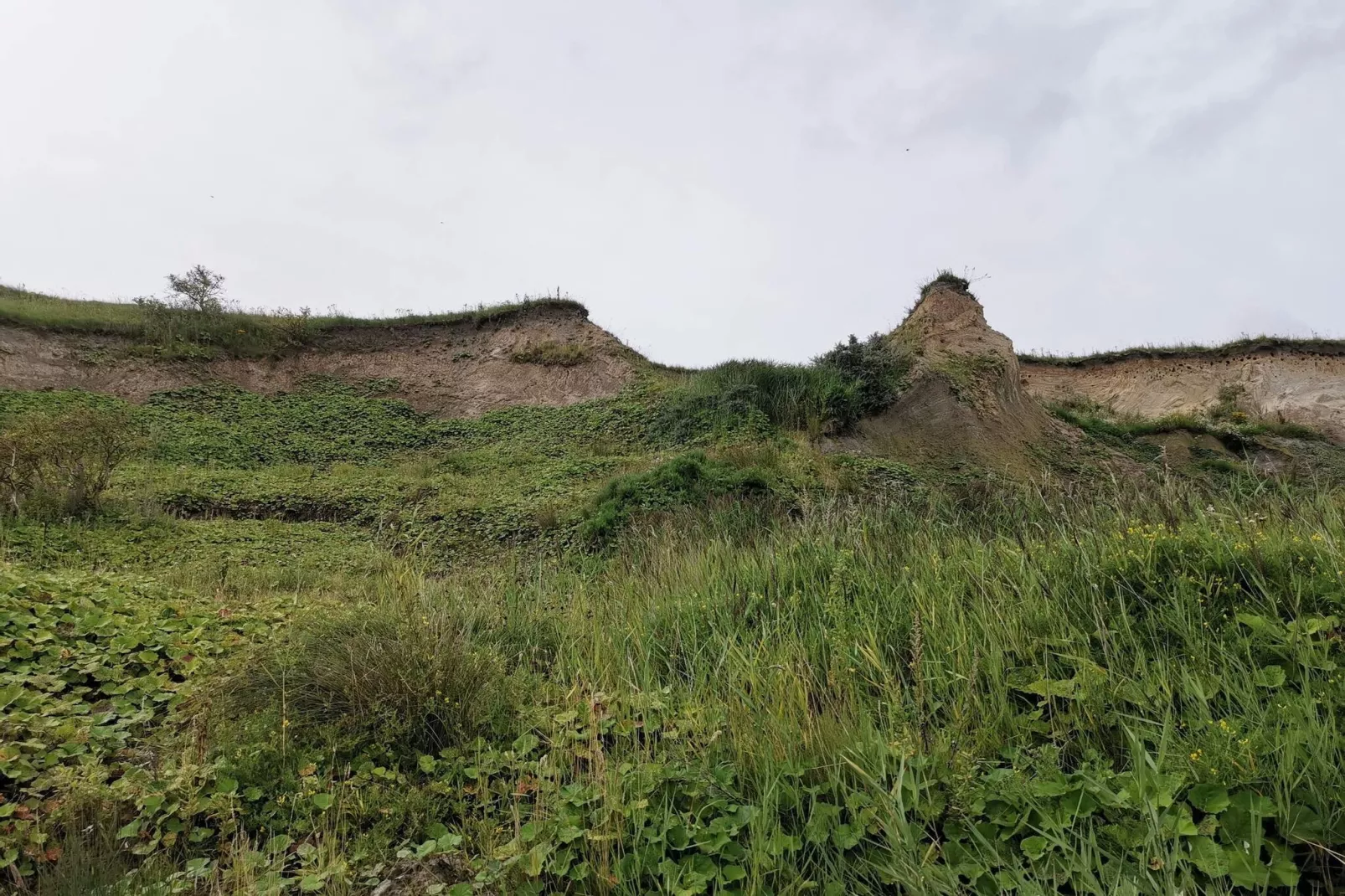 5 person holiday home in Roslev-By Traum-Untagged