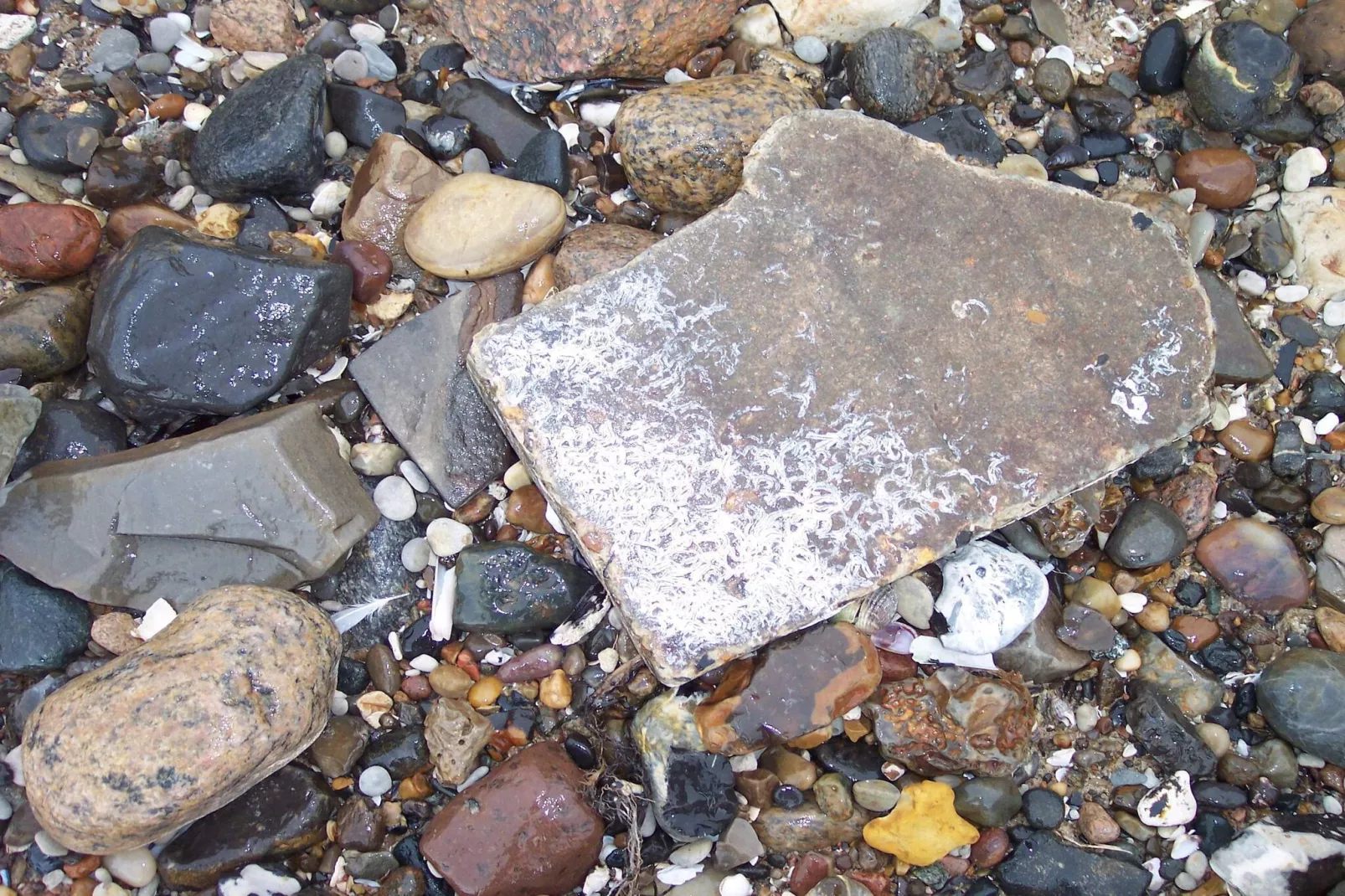 Secluded Haven on Fur - By Traum Ferienwohnungen