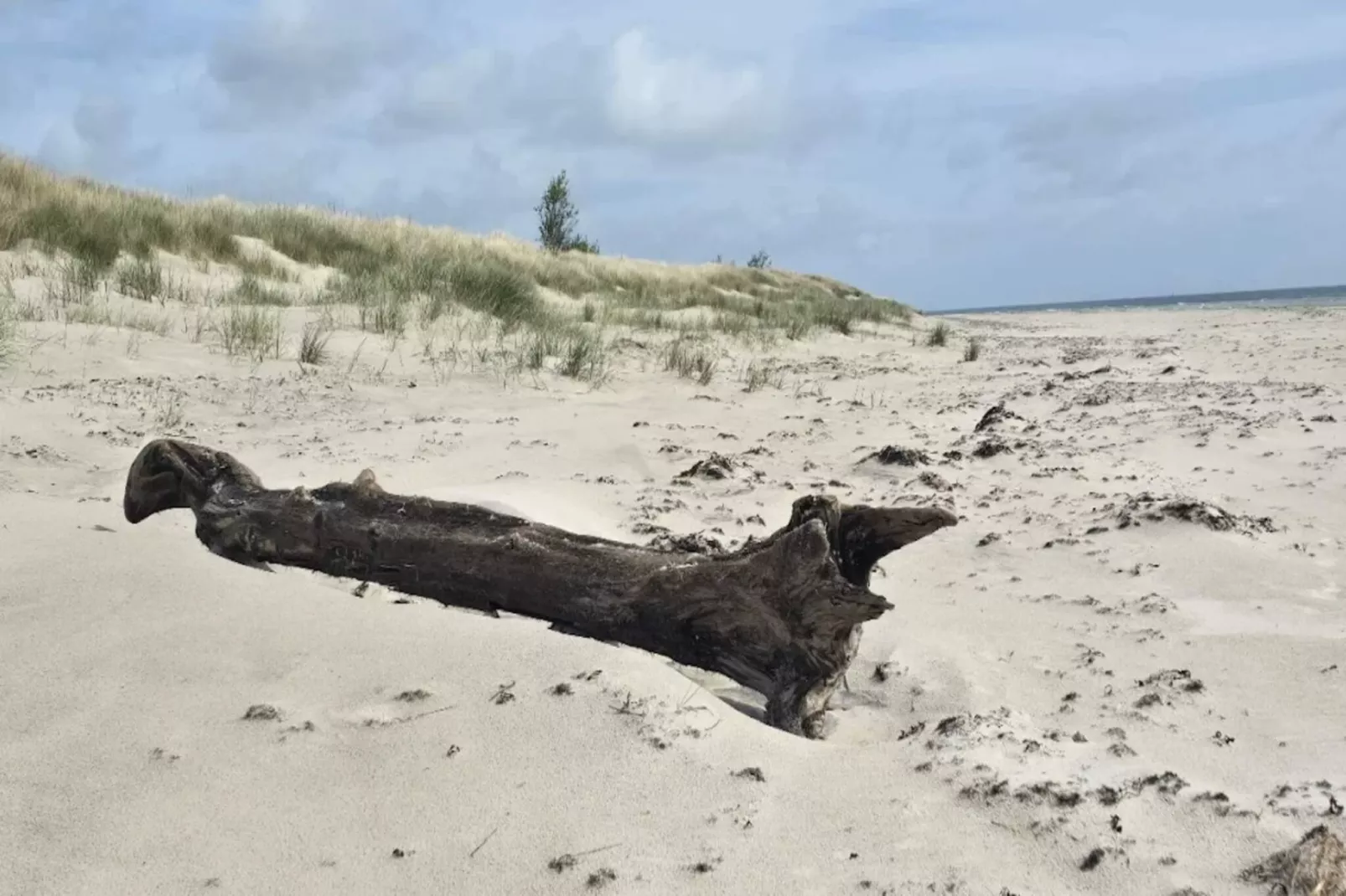 6 person holiday home in Löderup-By Traum-Untagged