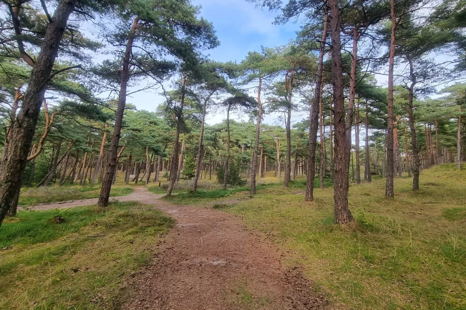 RIM FERIECENTER-Nicht zugeordnet