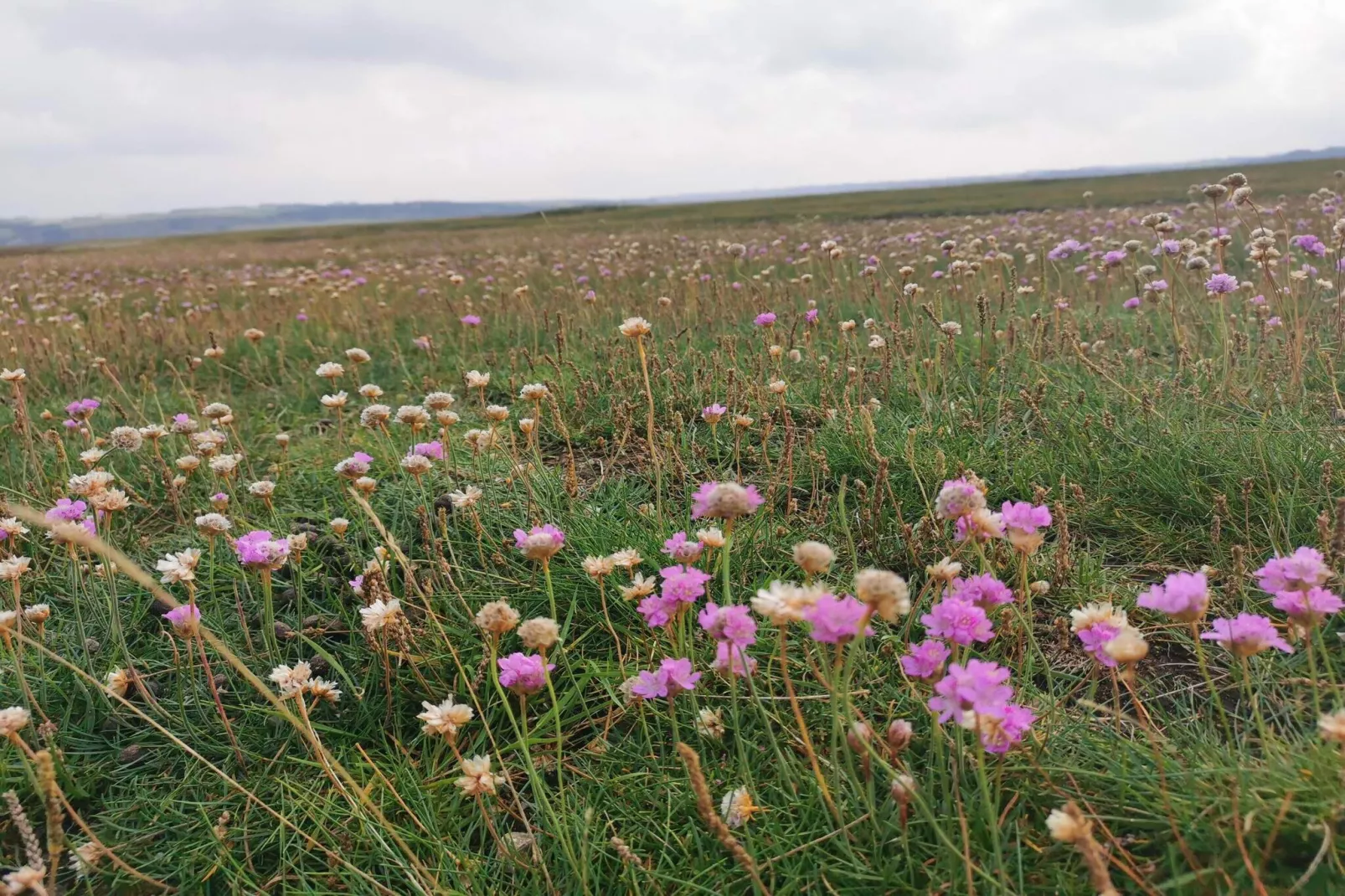 4 person holiday home in Lemvig-By Traum-Untagged