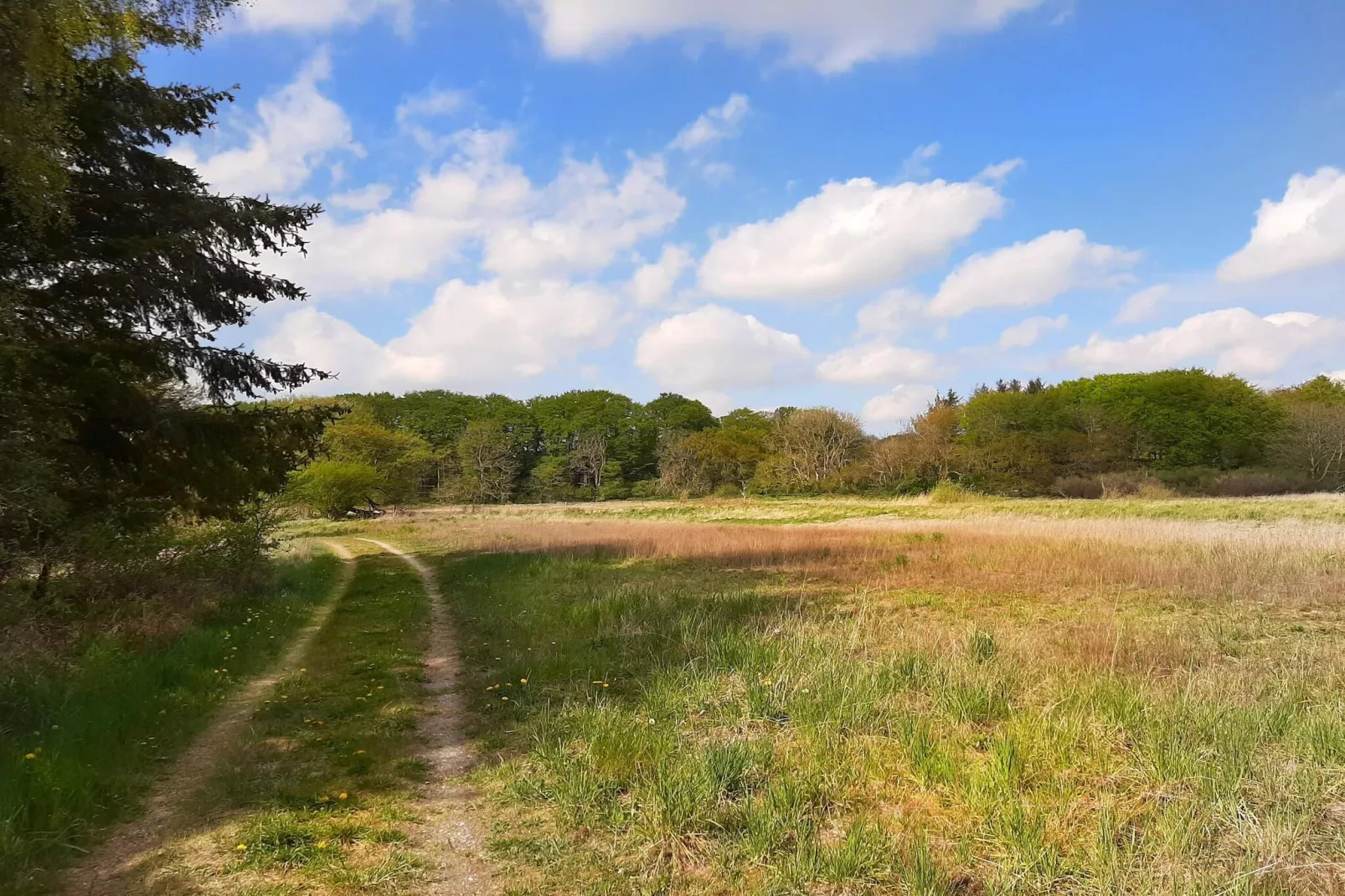 8 person holiday home in Ebeltoft-By Traum