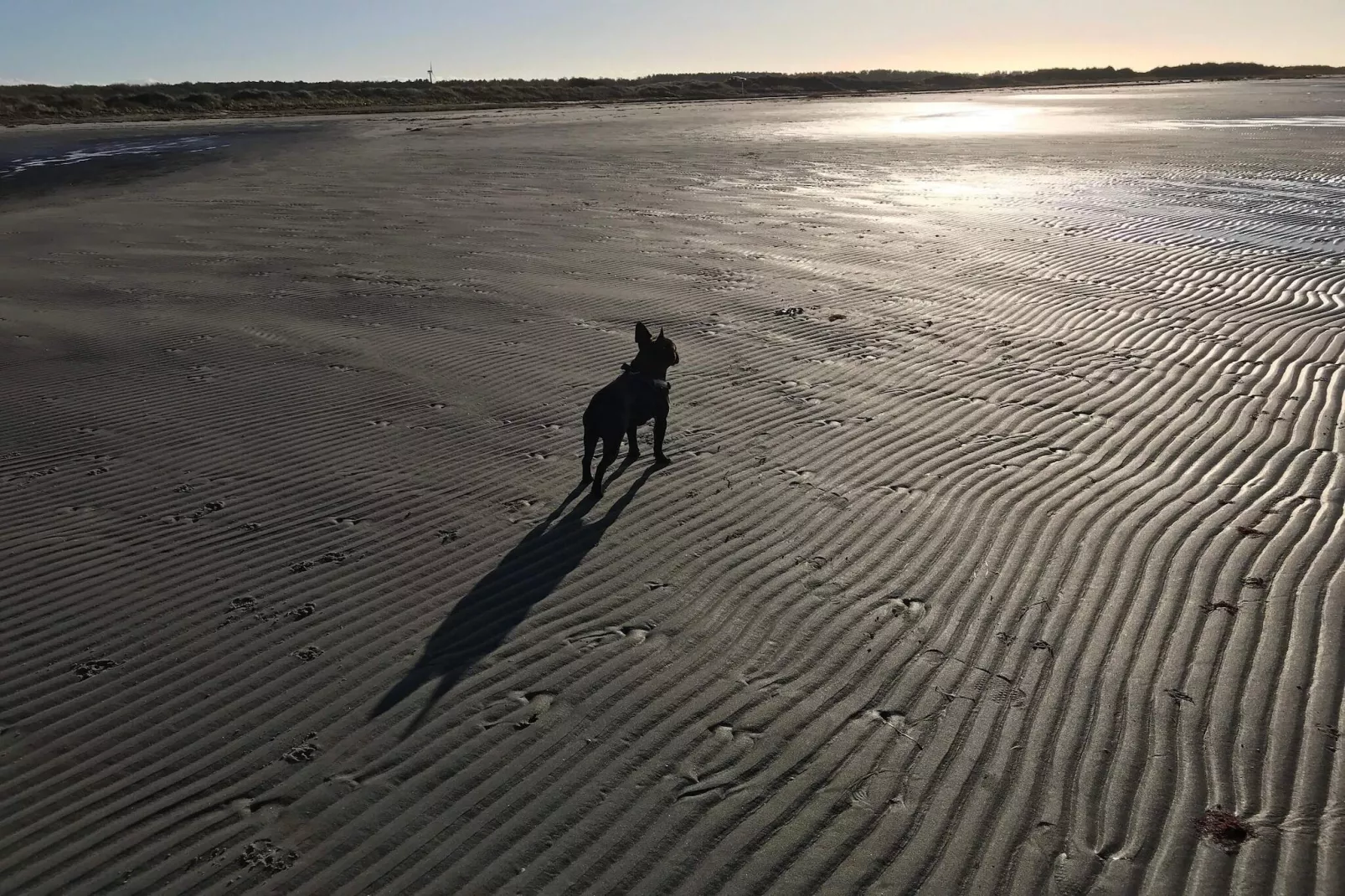 12 person holiday home in Læsø-By Traum